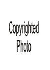 mcintosh_stables002014.jpg