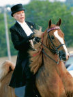 mcintosh_stables006007.jpg