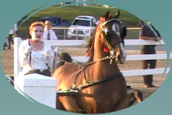 mcintosh_stables007007.jpg