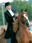 mcintosh_stables010008.jpg