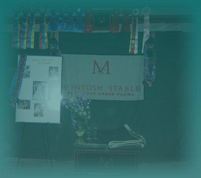 mcintosh_stables011008.jpg
