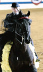 mcintosh_stables012001.jpg