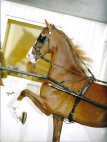 mcintosh_stables014001.jpg